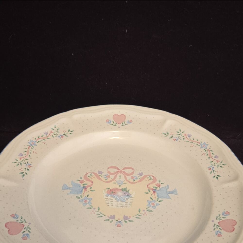 Tienshan Country Bouquet Stoneware Dinner Plates Round White Floral Hearts China